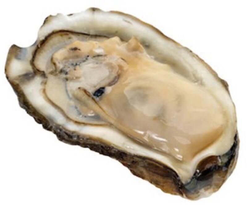 Raw Oysters